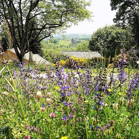 Domaine Des Marequiers Chambre Pimprenelle Saint-Germain-du-Teil Eksteriør billede
