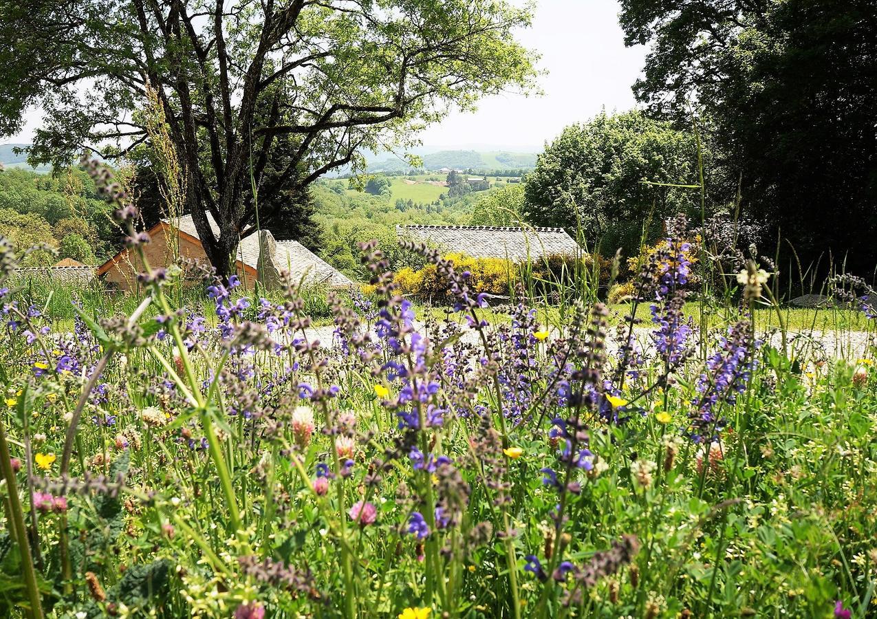 Domaine Des Marequiers Chambre Pimprenelle Saint-Germain-du-Teil Eksteriør billede