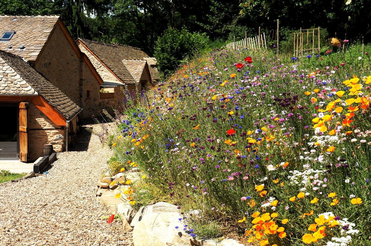 Domaine Des Marequiers Chambre Pimprenelle Saint-Germain-du-Teil Eksteriør billede