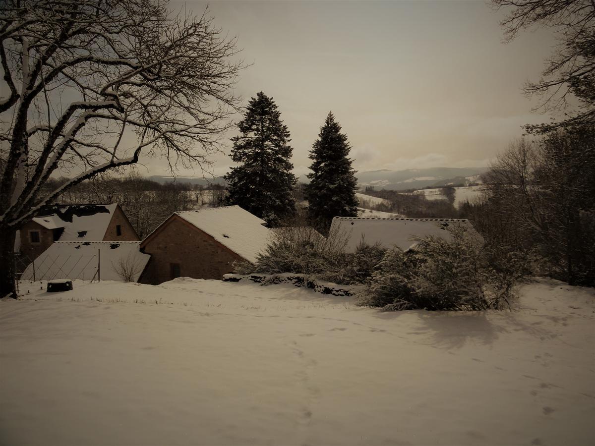Domaine Des Marequiers Chambre Pimprenelle Saint-Germain-du-Teil Eksteriør billede